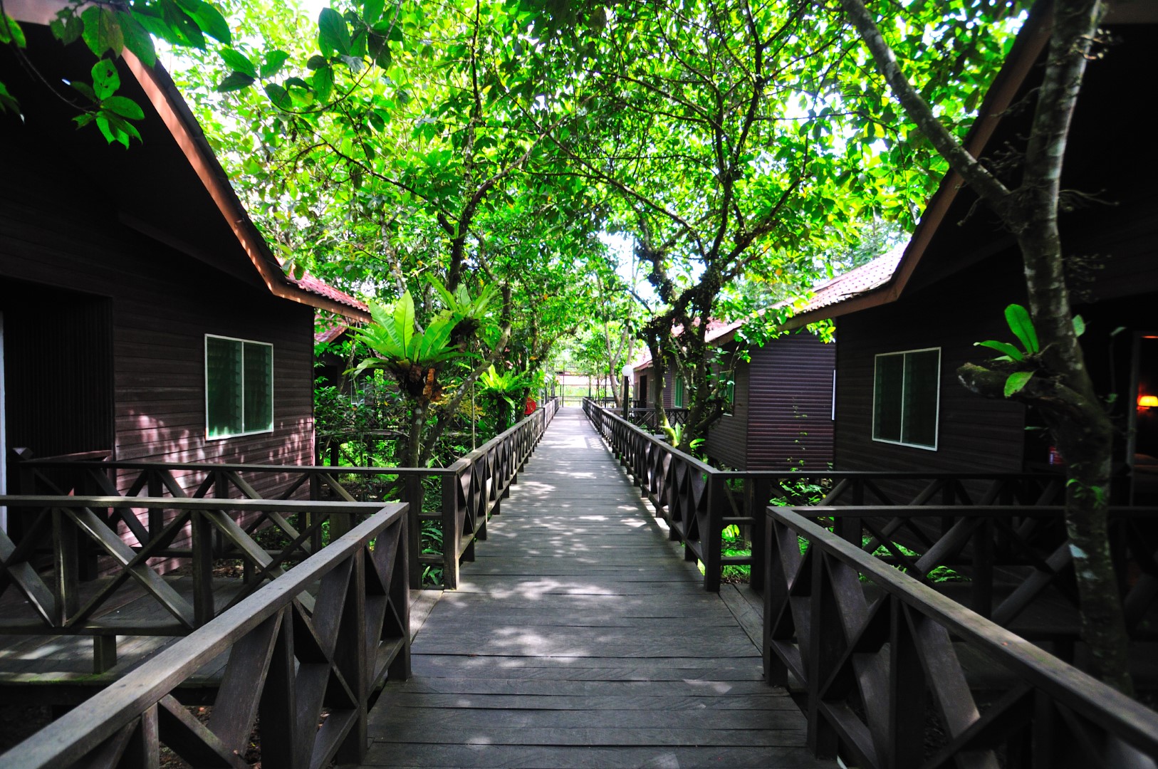 Kinabatangan Riverside Lodge - Borneo Holiday Architects : Borneo ...