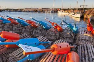 colourful lobster trap buoys, Skinner's Pond, Prince Edward Island