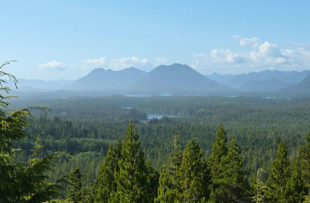 View over Pacific Rim NP - HER