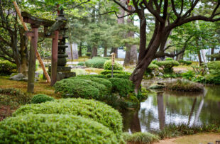 Kenroku-en garden, located in Kanazawa