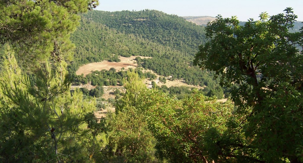 Ajloun_Forest_Reserve_Wiki