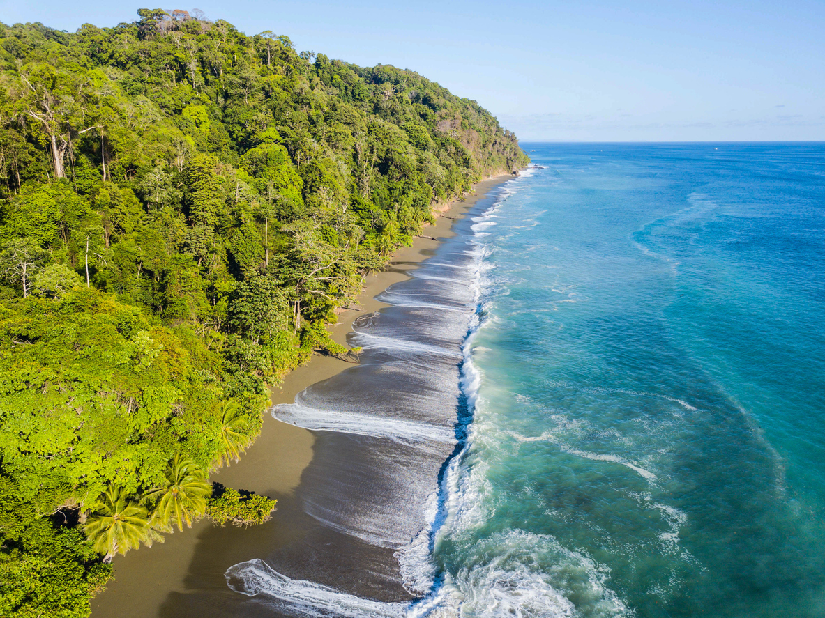 Corcovado National Park Costa Rica