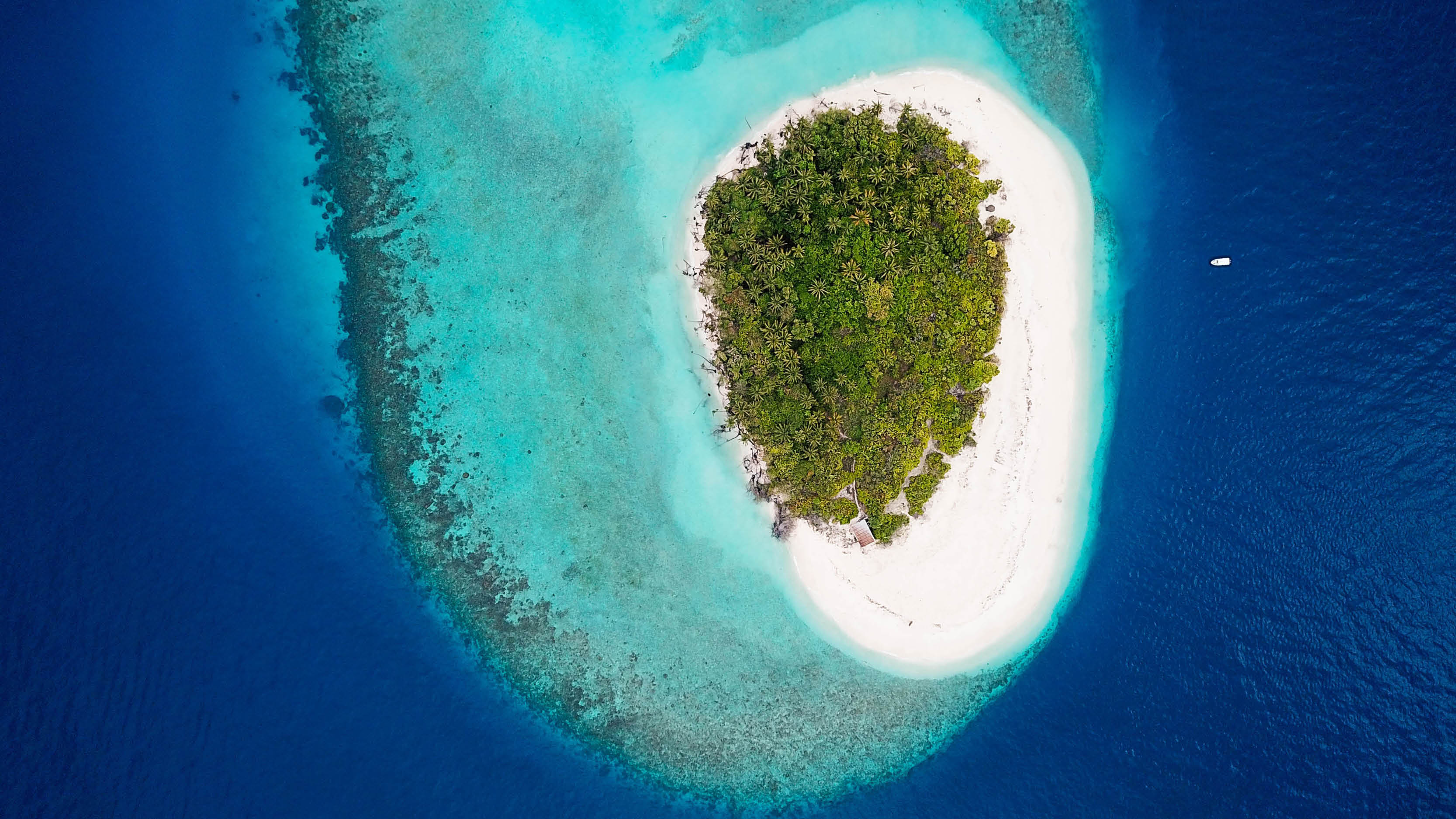 Maldives island - last-minute holiday