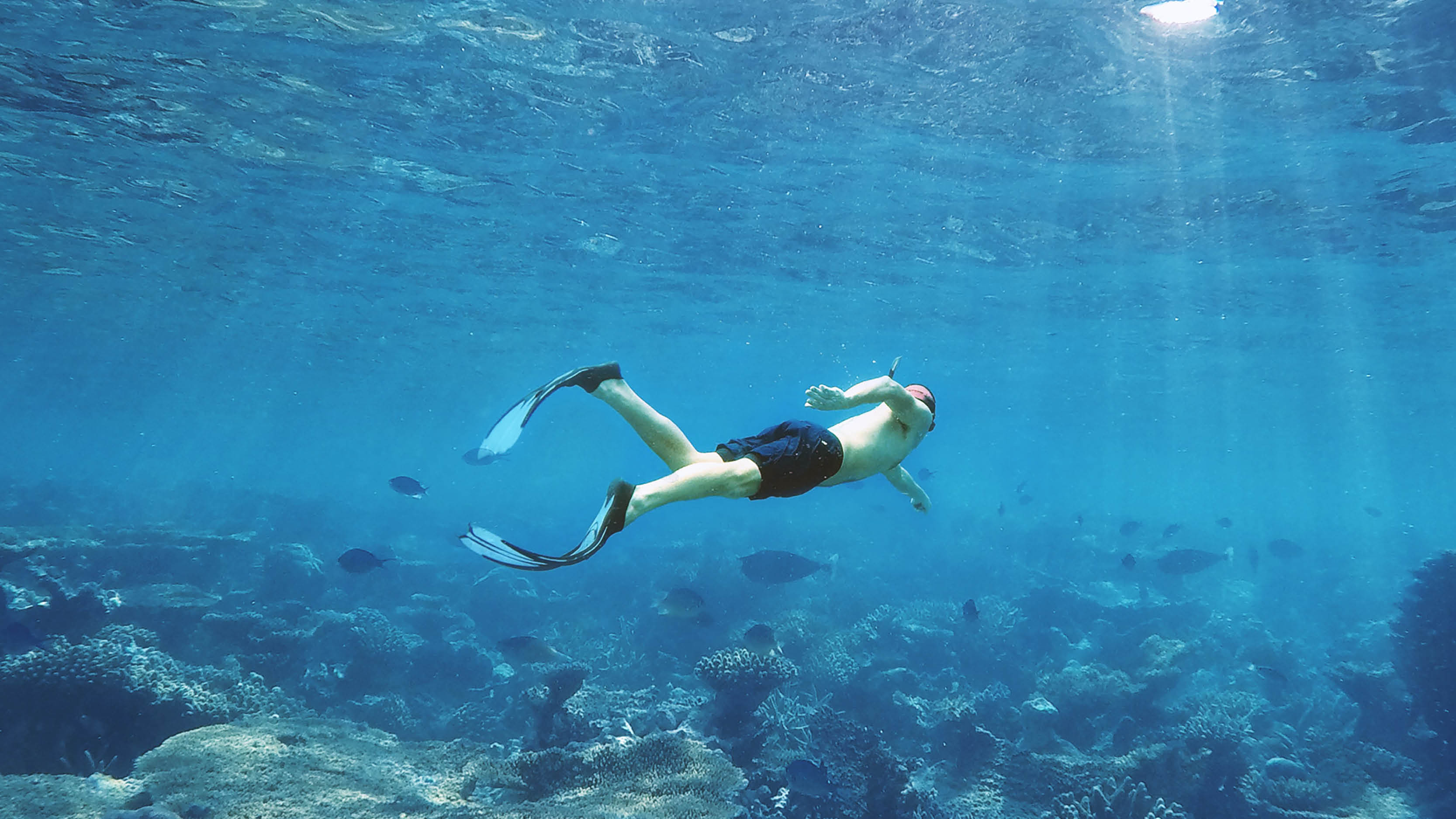 Snorkelling maldives last-minute holiday