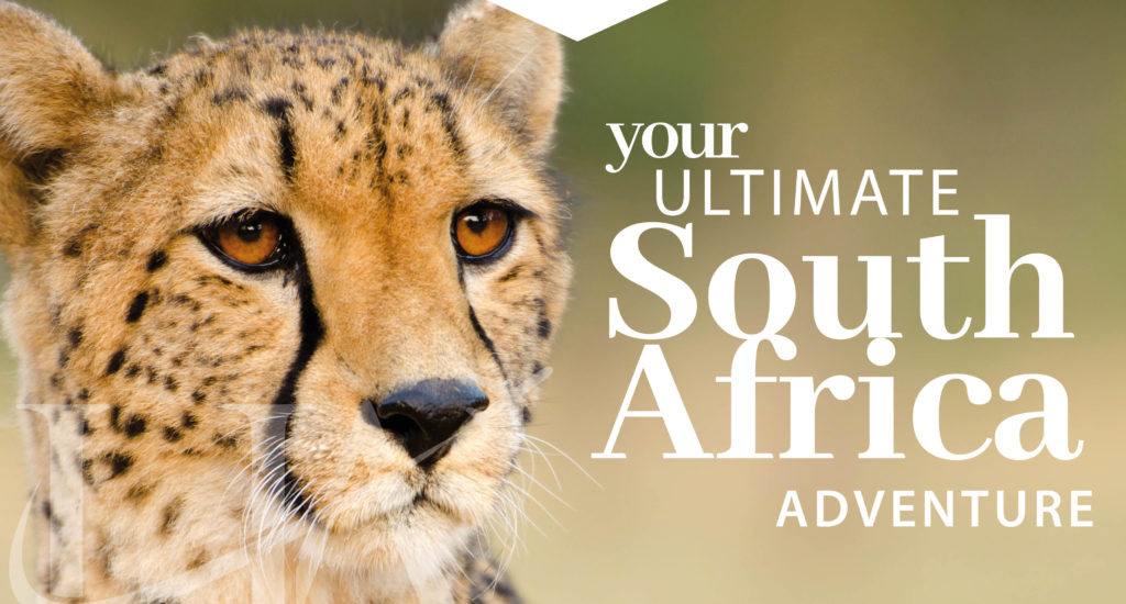 Your ultimate south africa itinerary header_header build