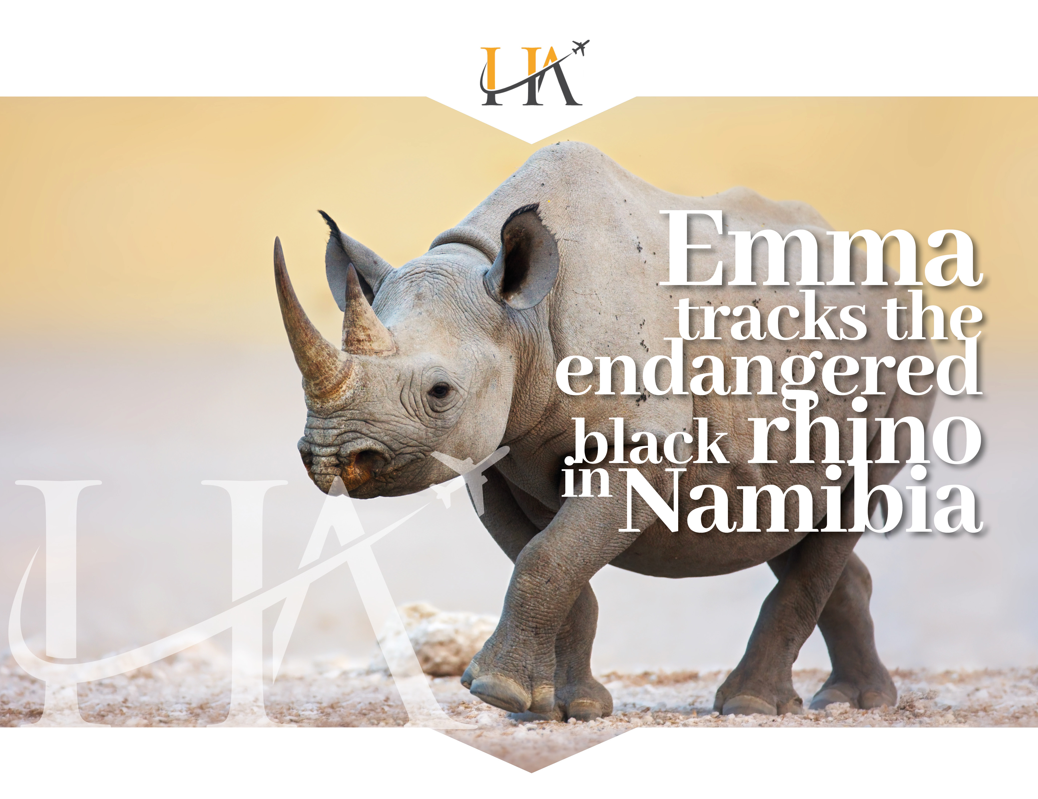 Emma tracks black rhino in Namibia