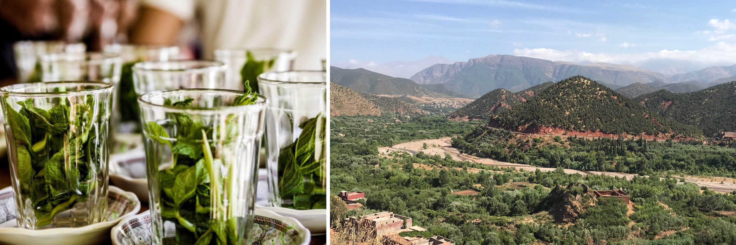 5 different things to do in Morocco