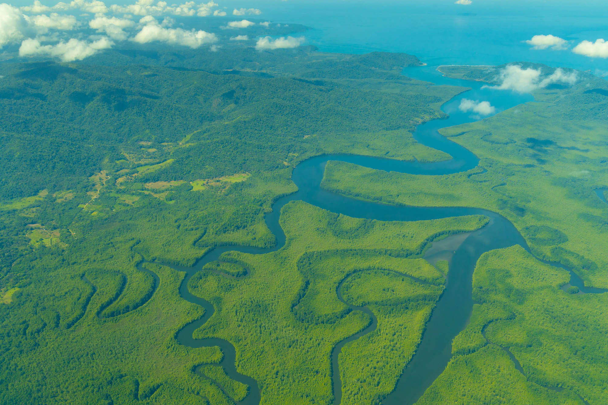 Costa Rica photos rio-sierpe-wetlands-national-park_51921600241_o