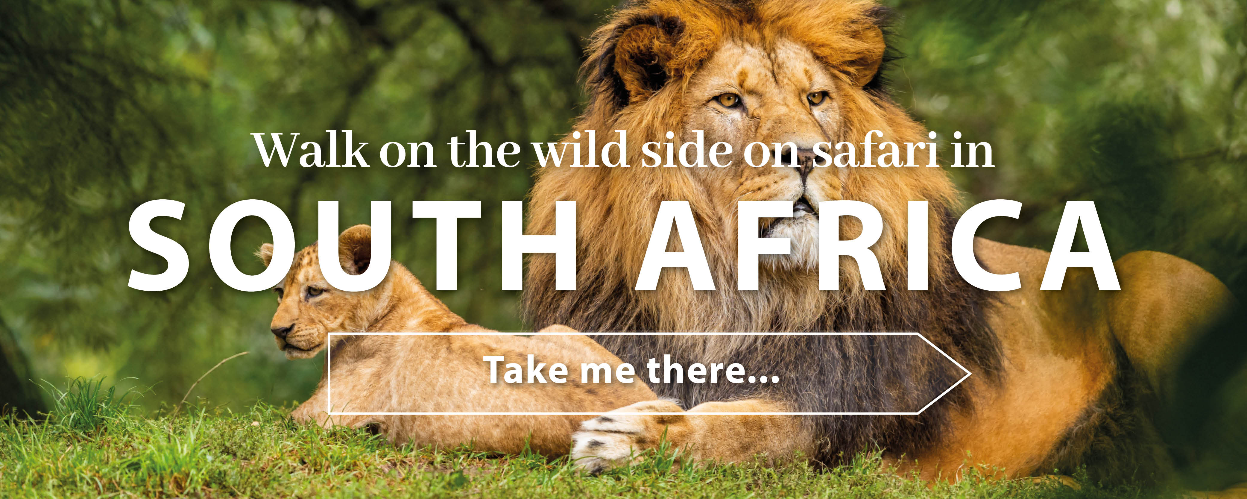 test free travel destinations South Africa