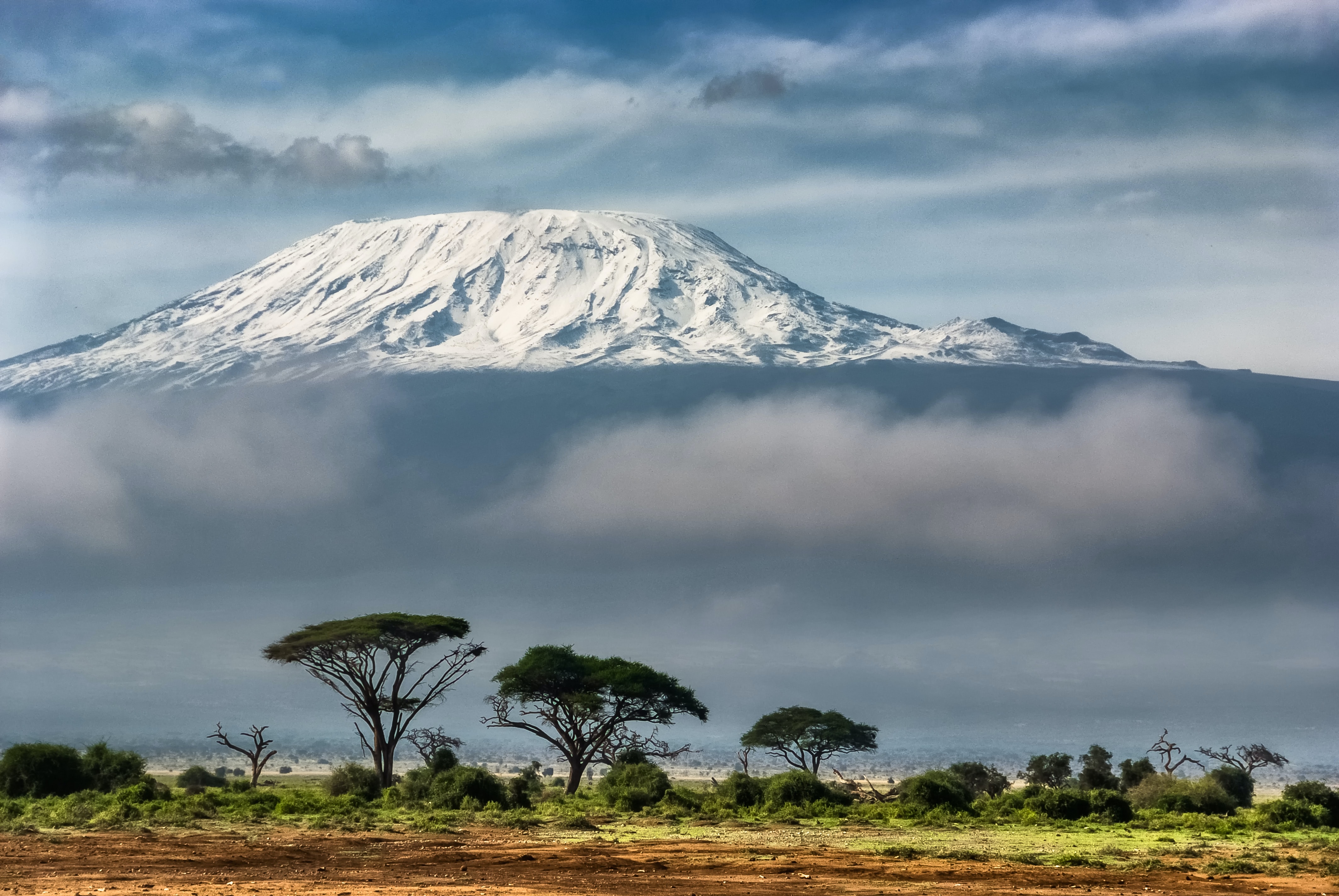 Kilimanjaro hikes and walks of the world