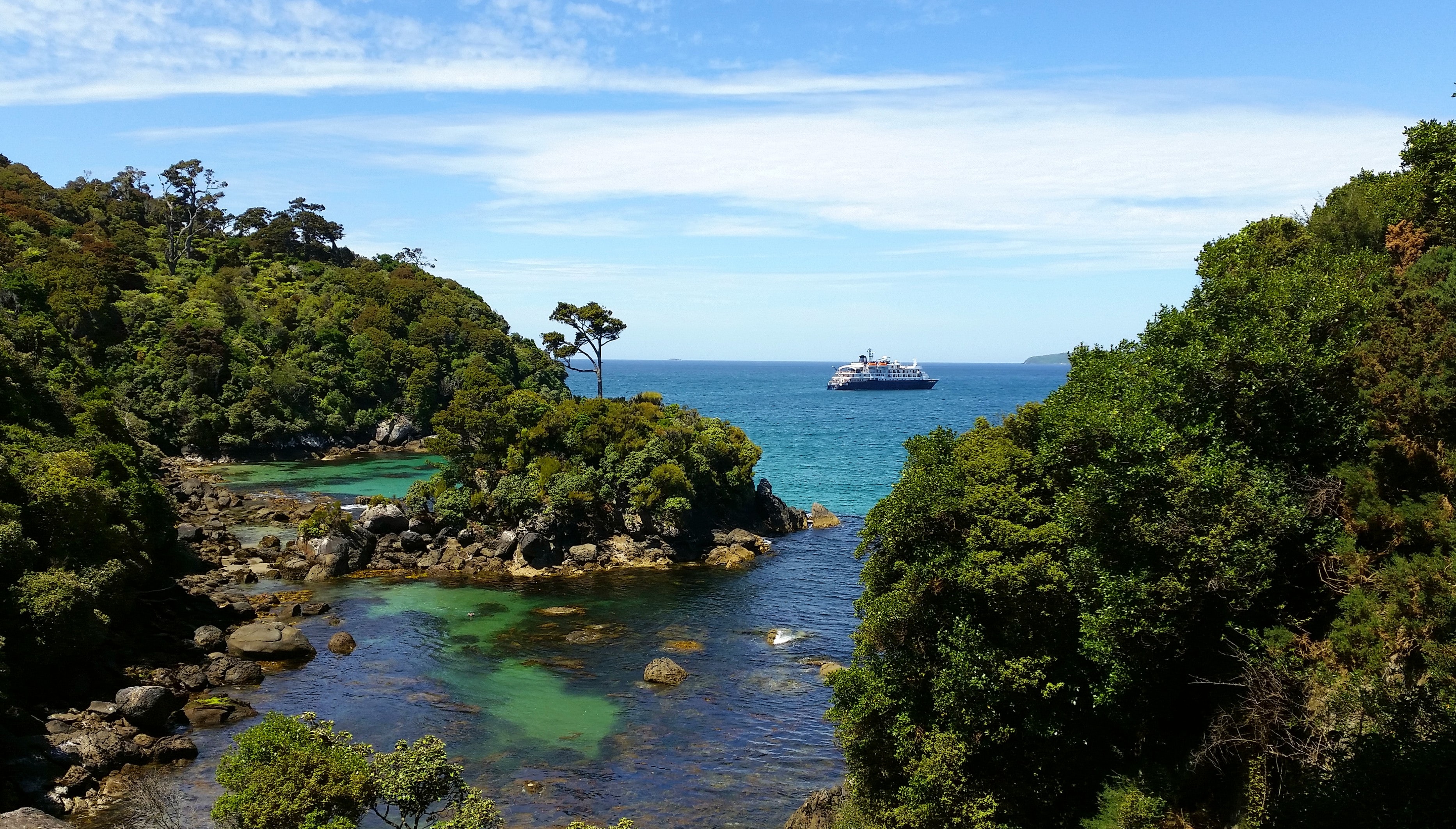 Stewart Island -Things to do in New Zealand holiday