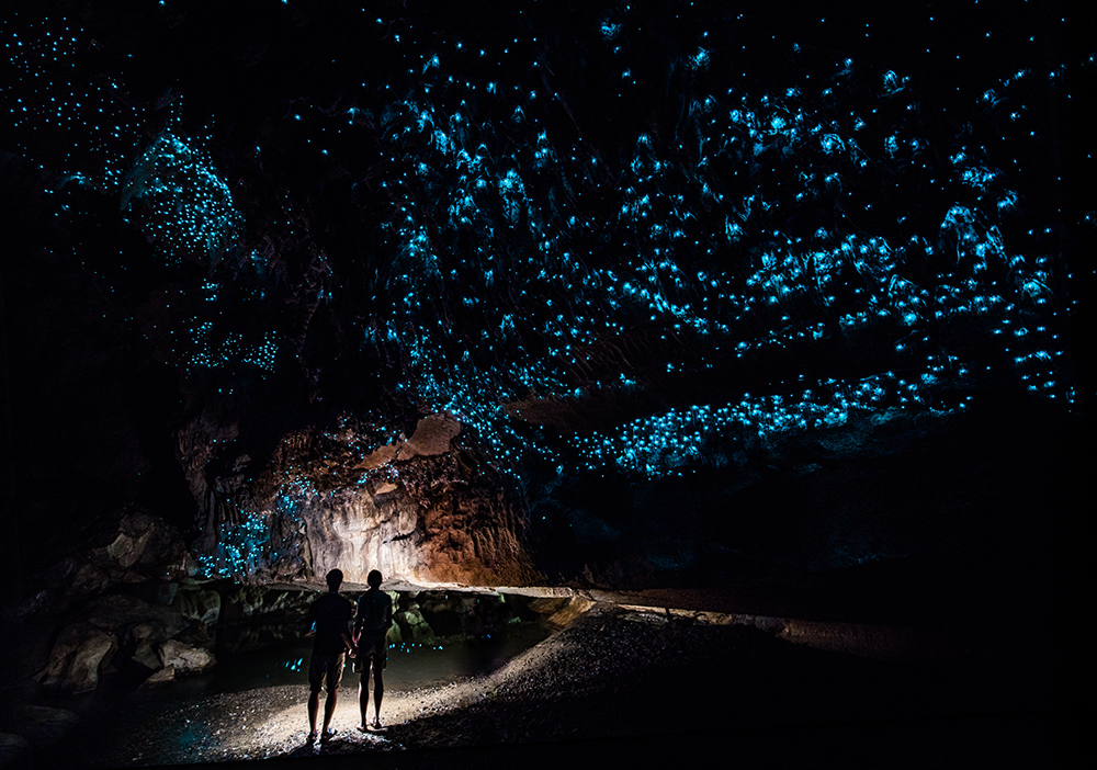 Glow Worm Sky in Waipu Cave, new Zealand