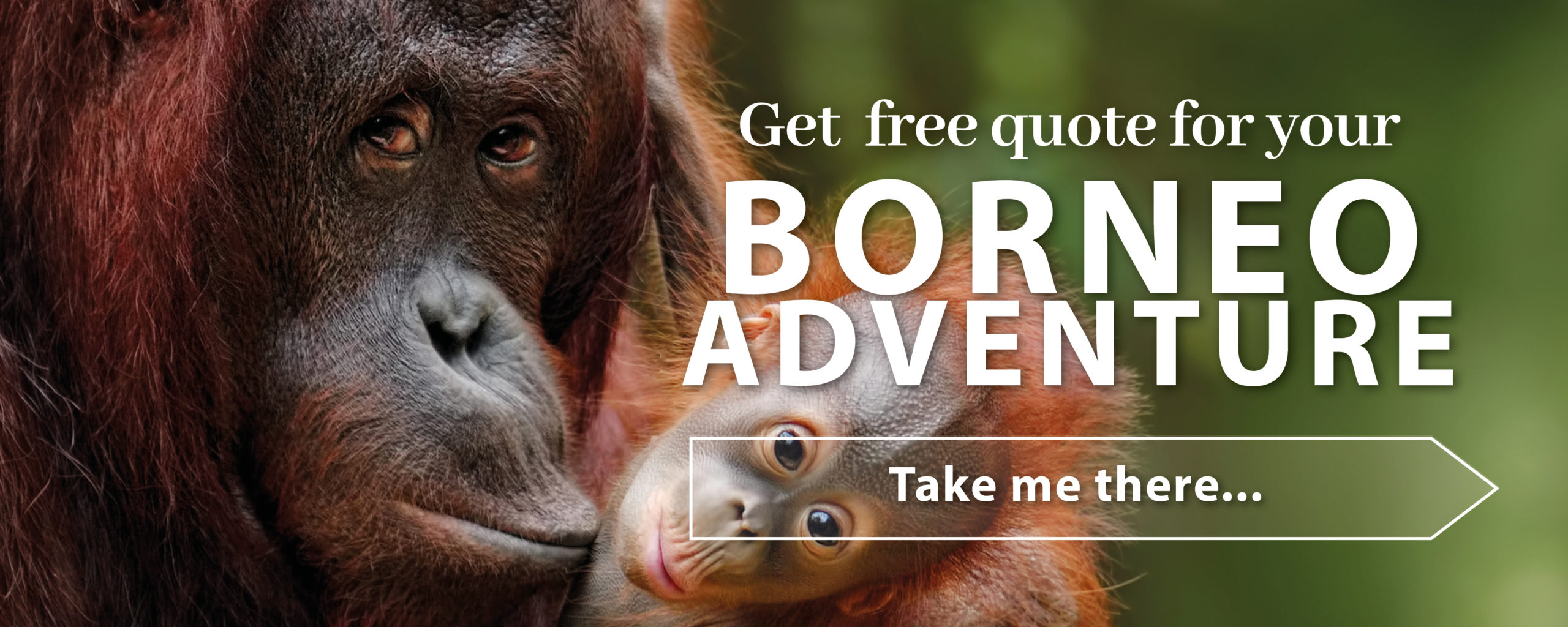 Get a quote for your Borneo Holiday
