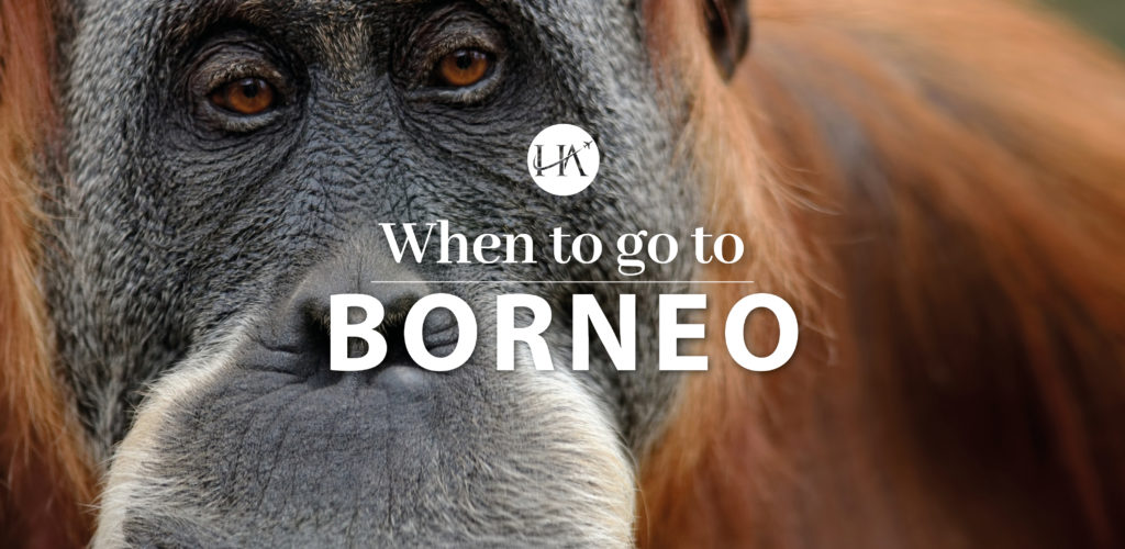 When to go to Borneo