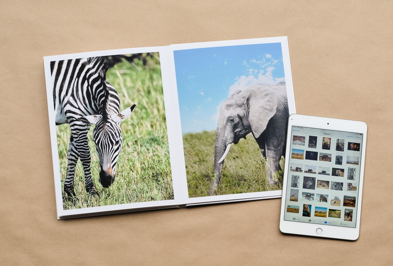Safari photo book
