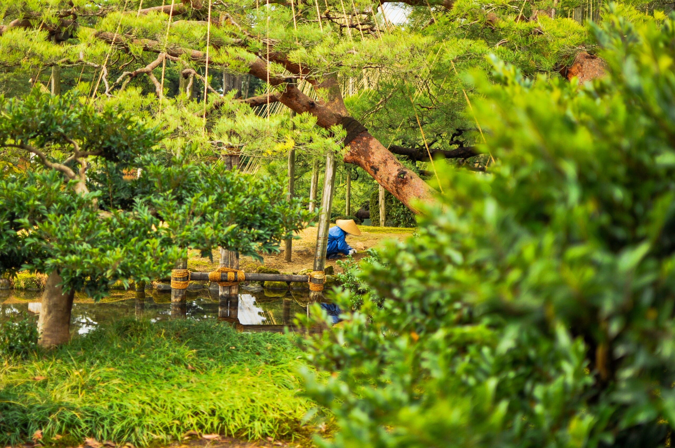 things to do in Kanazawa - gardens