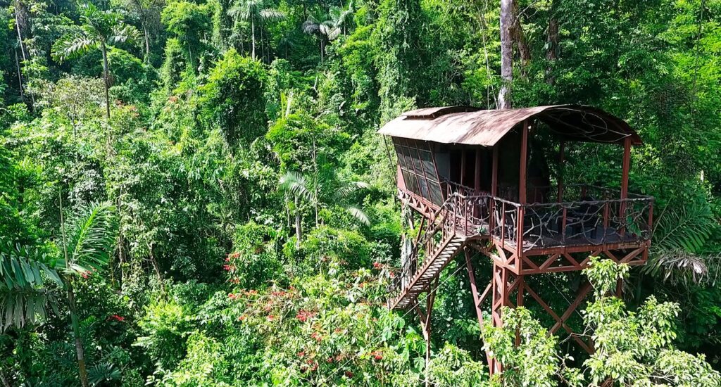 Maquenque Eco Lodge Treehouse Boca Tapada