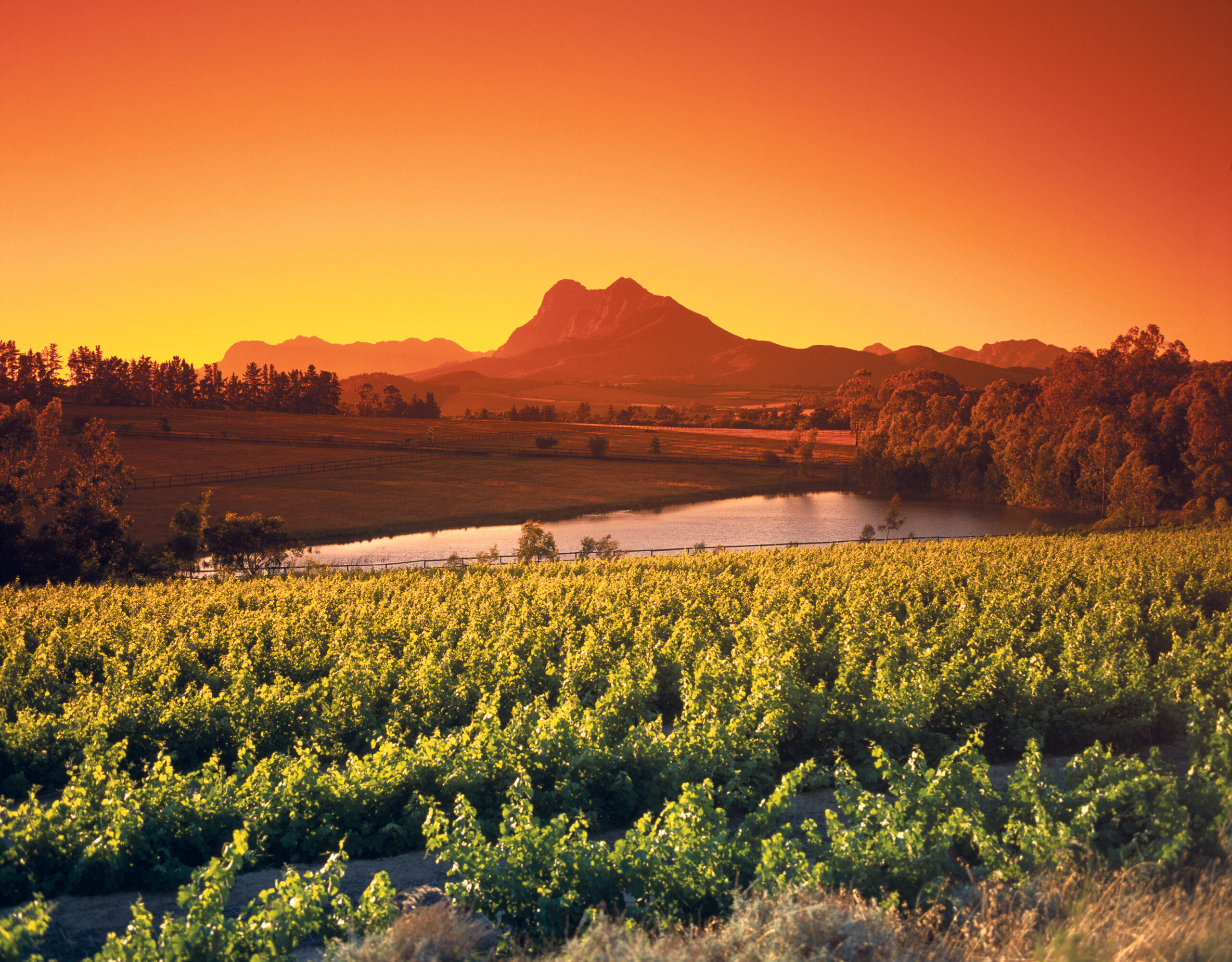 Winelands 48 hours in Cape Town