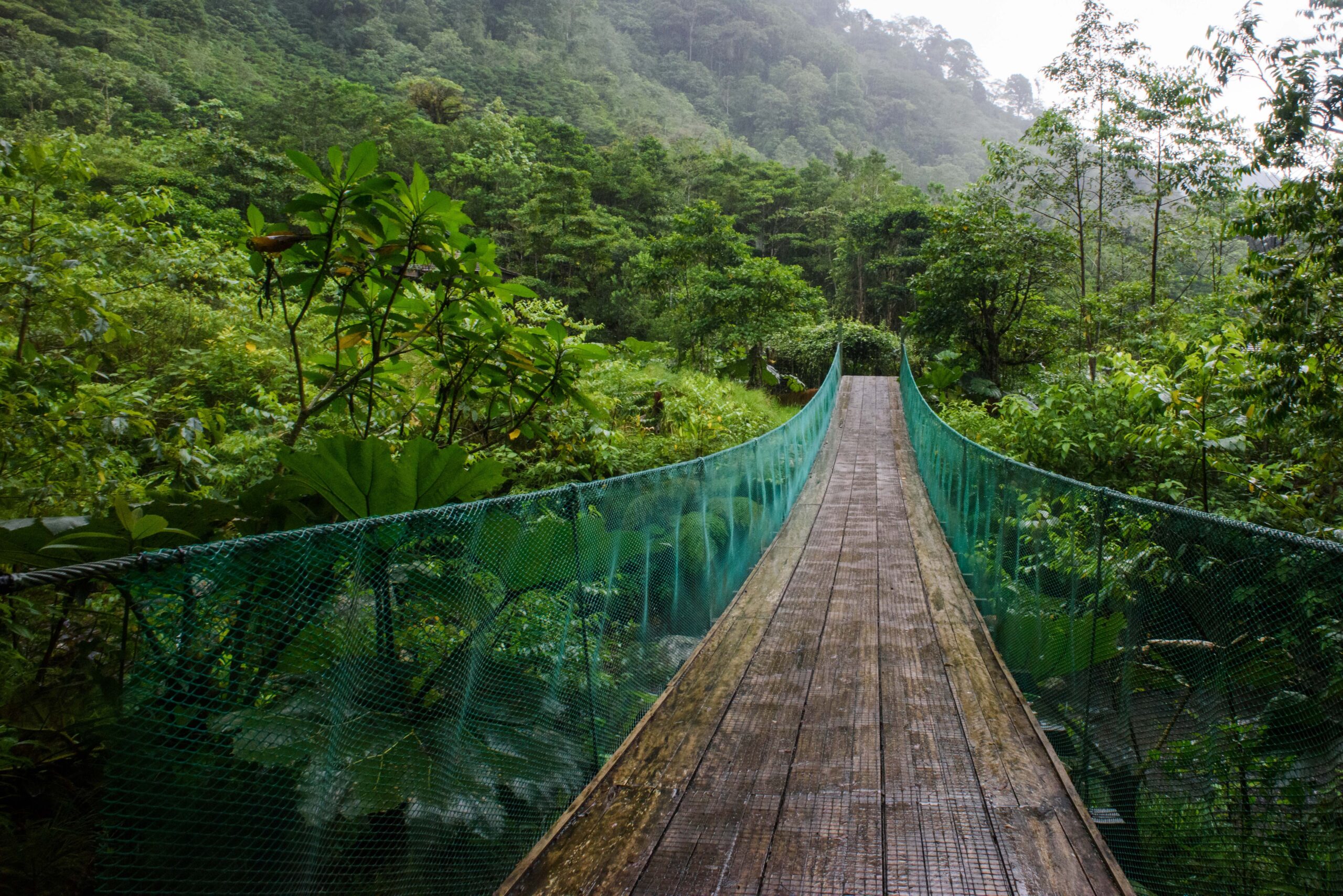 Monteverde Cloud Forest Costa Rica, Costa Rica highlights