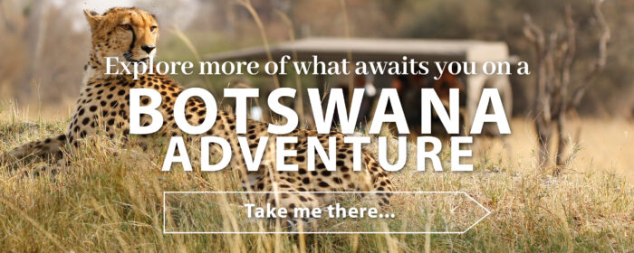 Get a quote for your Botswana holiday