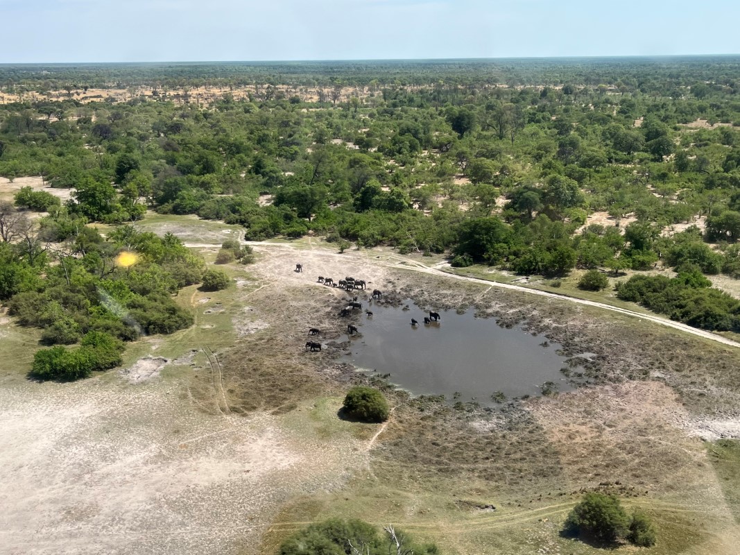 botswana holidays Okavango Delta