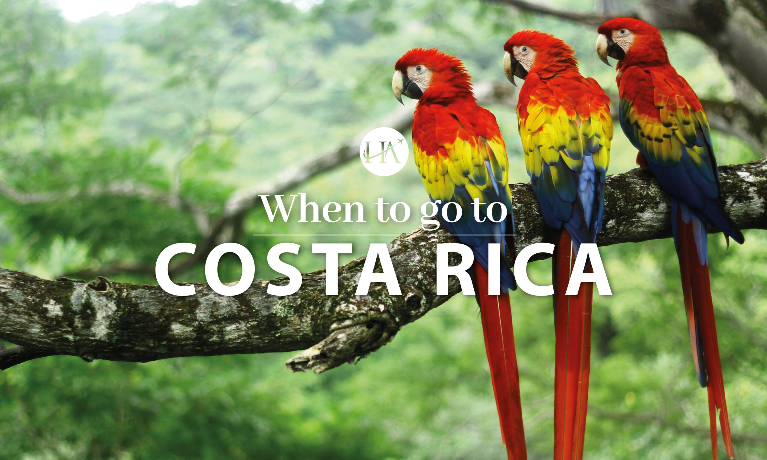 When to go to Costa Rica