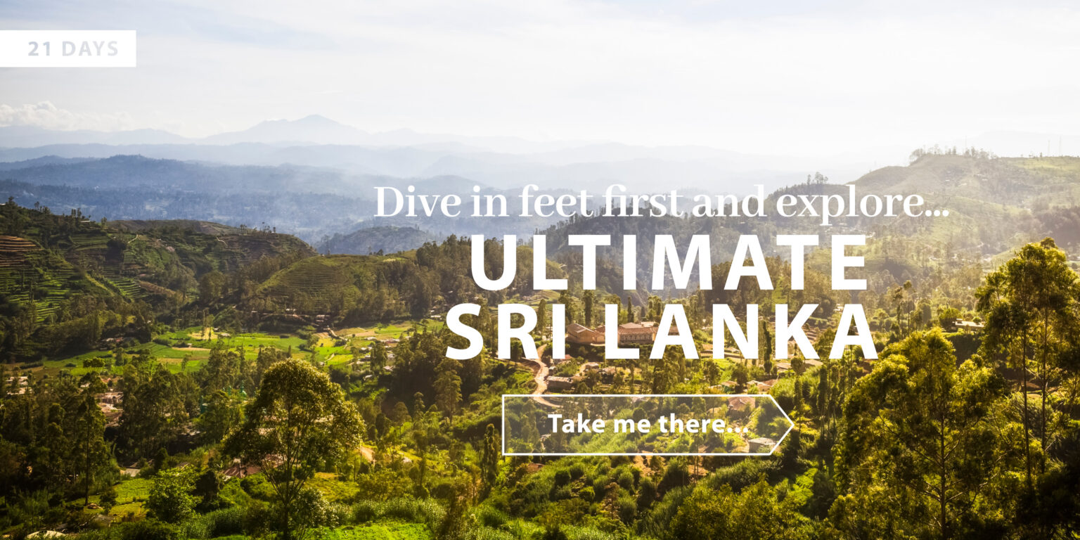 5 Sri Lanka holiday ideas we love - Holiday Architects : Holiday Architects