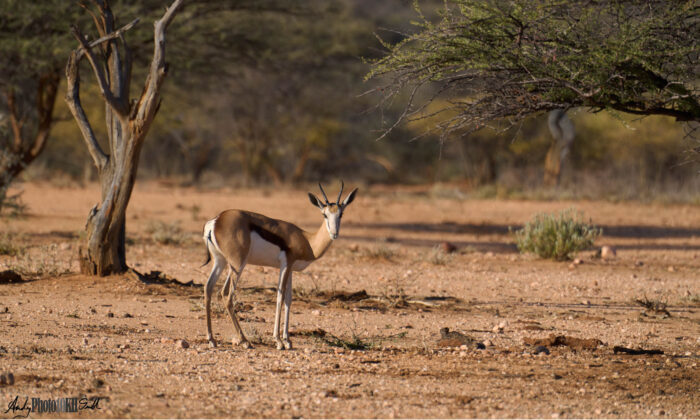 Namibia tailormade holiday