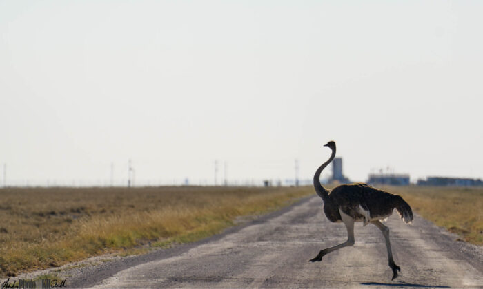 Namibia tailormade holiday