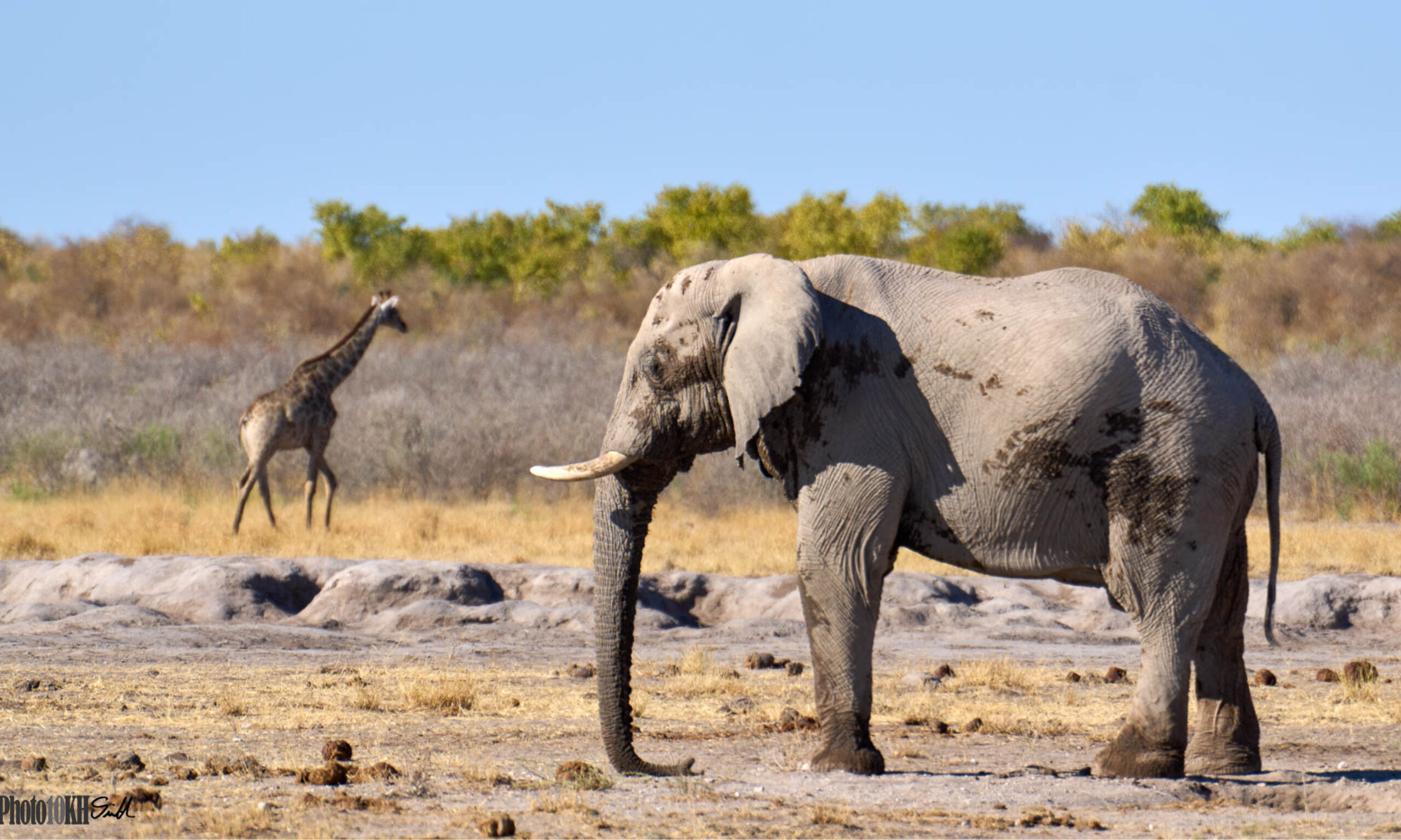 Namibia tailormade holiday