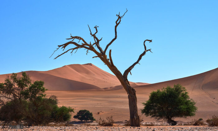 Namibia tailormade holiday