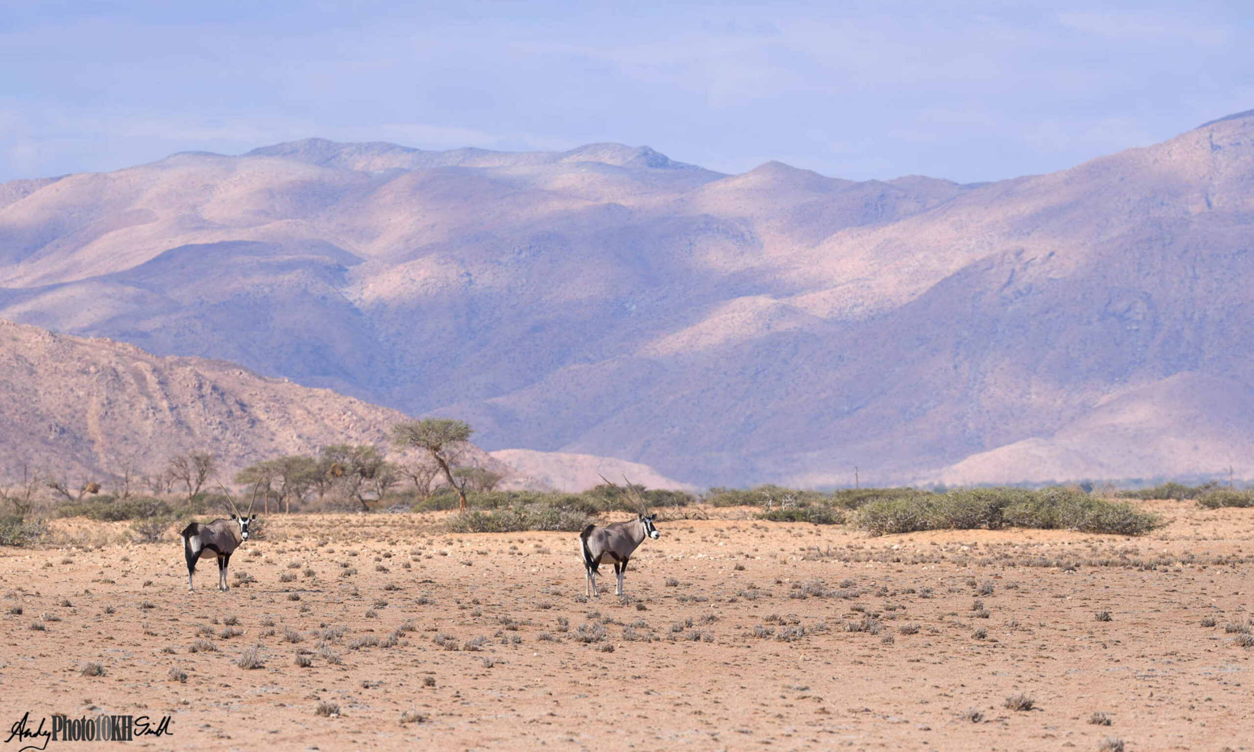 Namibia Tailormade Holiday