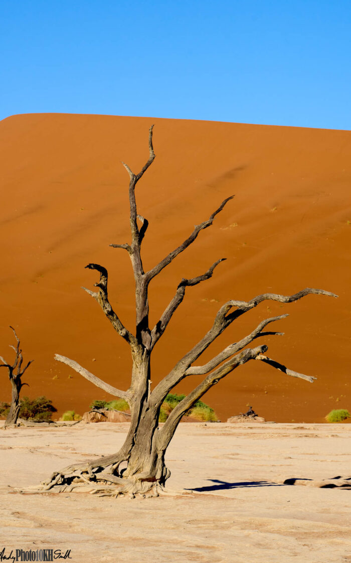 Tailormade Namibia holiday