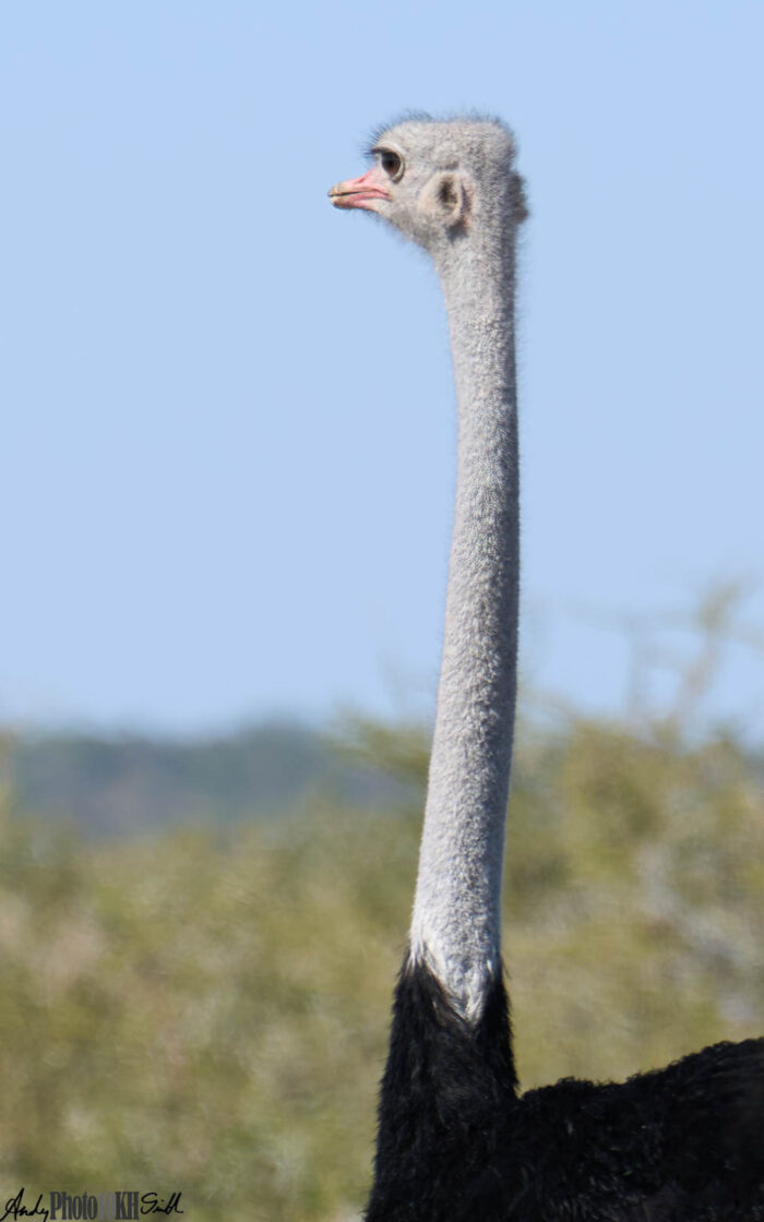 Tailormade Namibia holiday