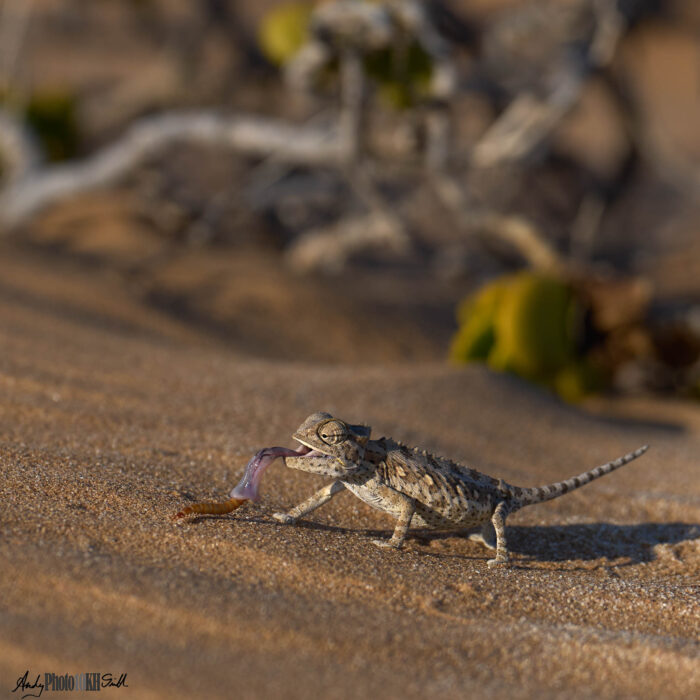 Namibia tailormade holiday